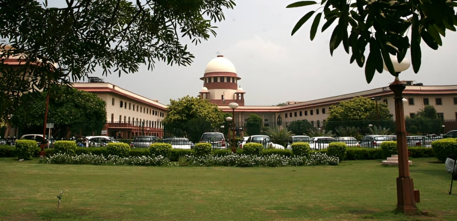 Supreme Court Advocate Delhi